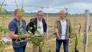 CALAMITÉS AGRICOLES – Reconnaissance pour le gel de 2022 dans le Gers